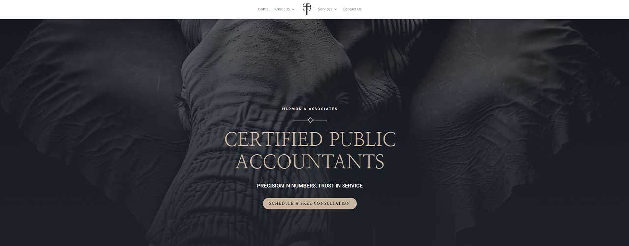 seo and web design for a local cpa firm