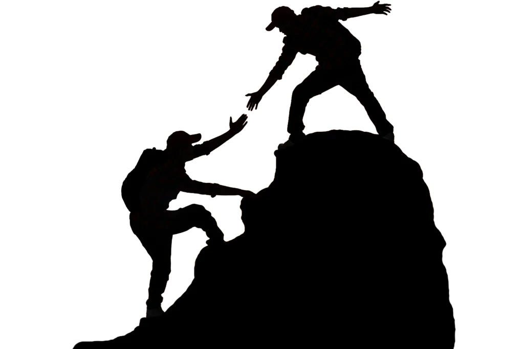 free seo audit & website audit